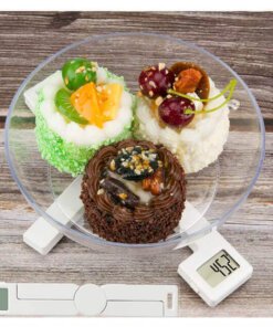 Digital Food Scale