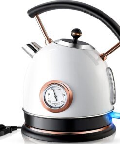 Electric Kettle with Thermometer