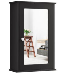 Small Mirrored Medicine Cabinet